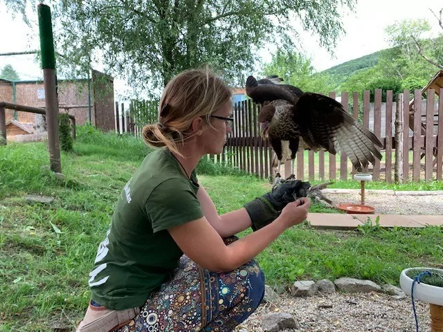 Salon Vozickar.info_Devin