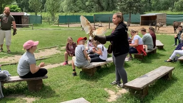 Salon Vozickar.info_Devin